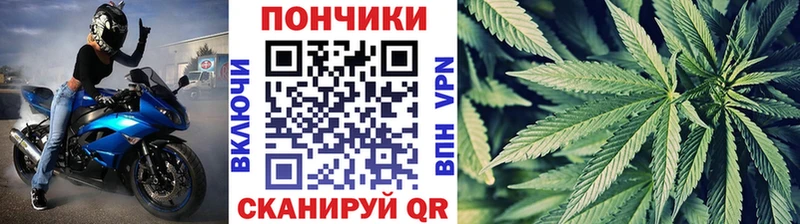 Сколько стоит Заполярный Кокаин  Меф  Каннабис 