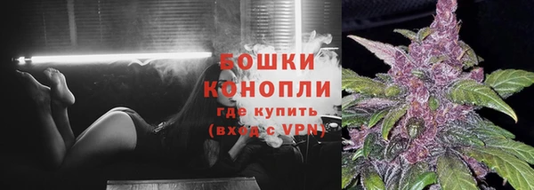 apvp Вяземский