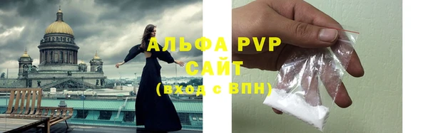 apvp Вяземский